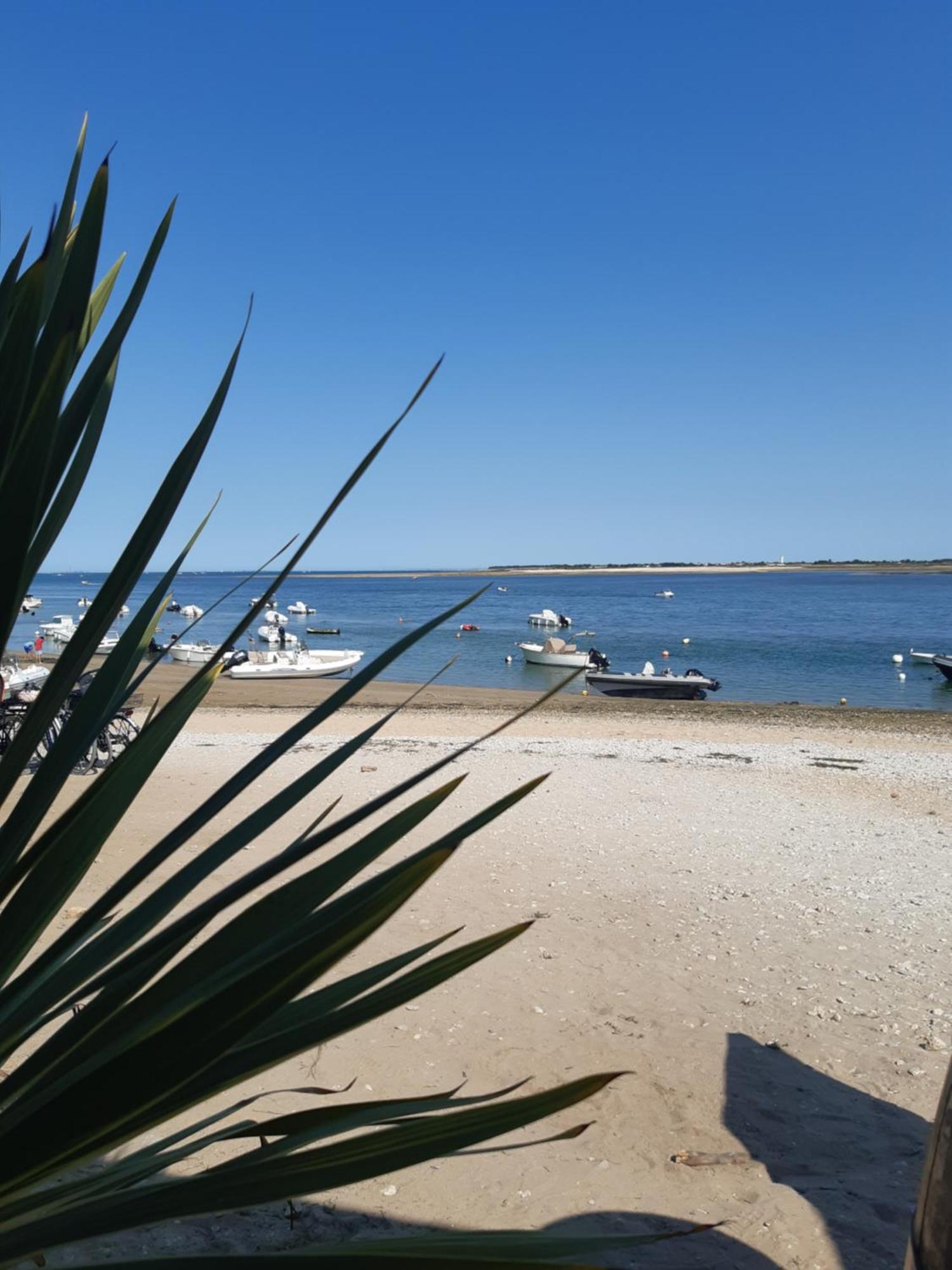 Maison De Vacances Entiere A 10 Mn De La Rochelle Dompierre-sur-Mer Eksteriør billede