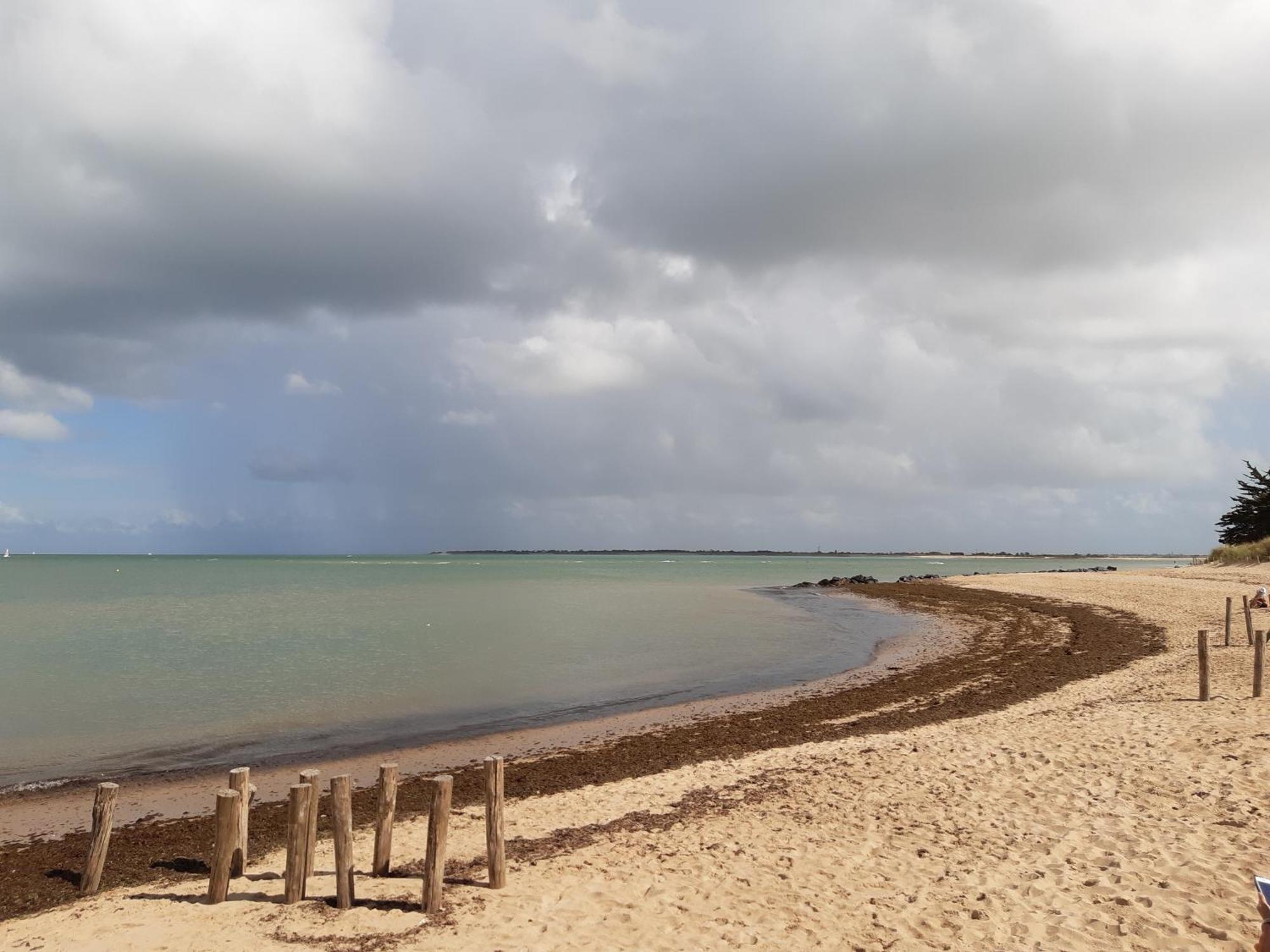 Maison De Vacances Entiere A 10 Mn De La Rochelle Dompierre-sur-Mer Eksteriør billede